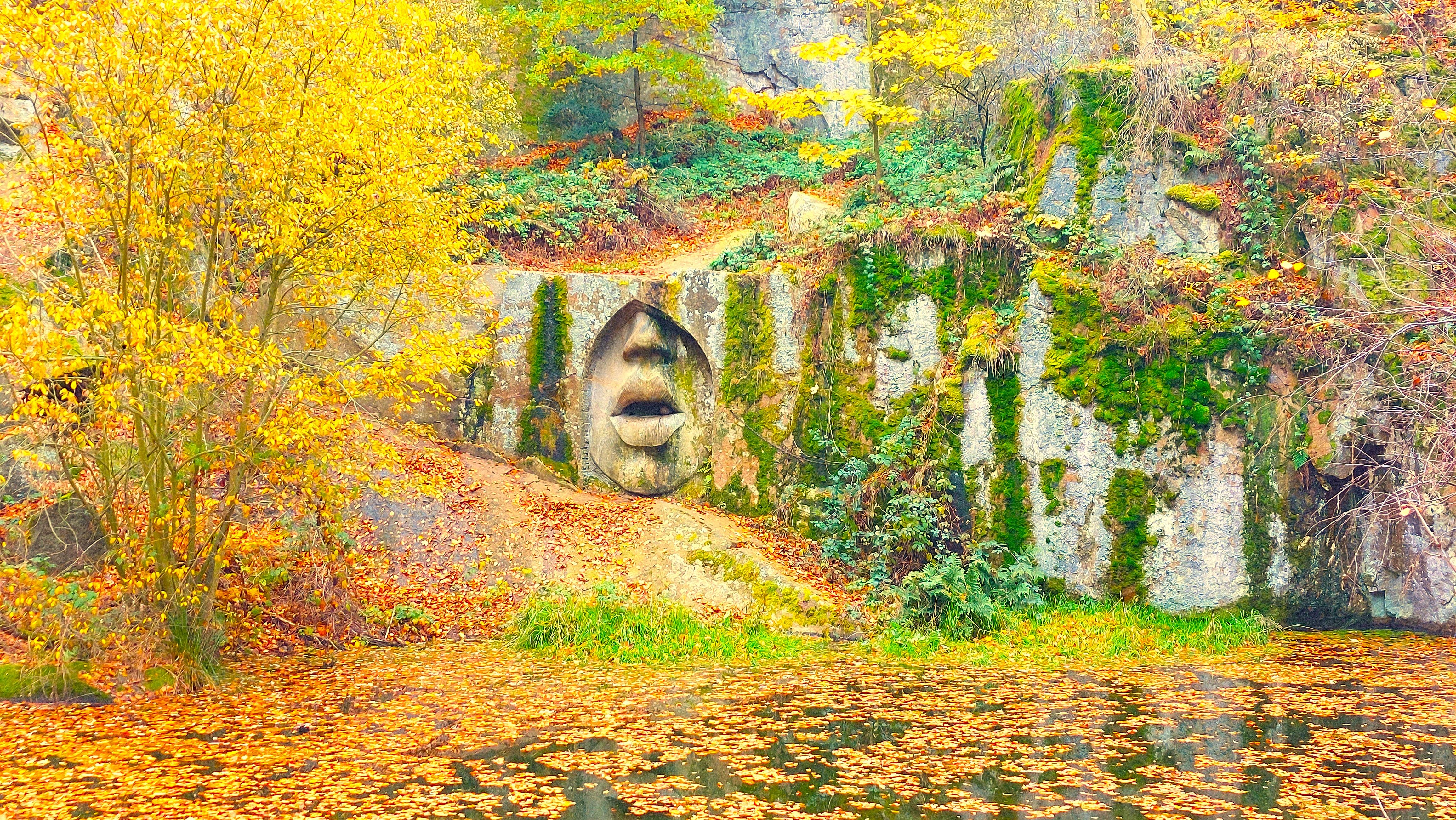 Privátní plavby a výlety